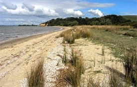 Awhitu Regional Park walk